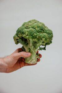 A Person Holding a Green Broccoli Vegetable